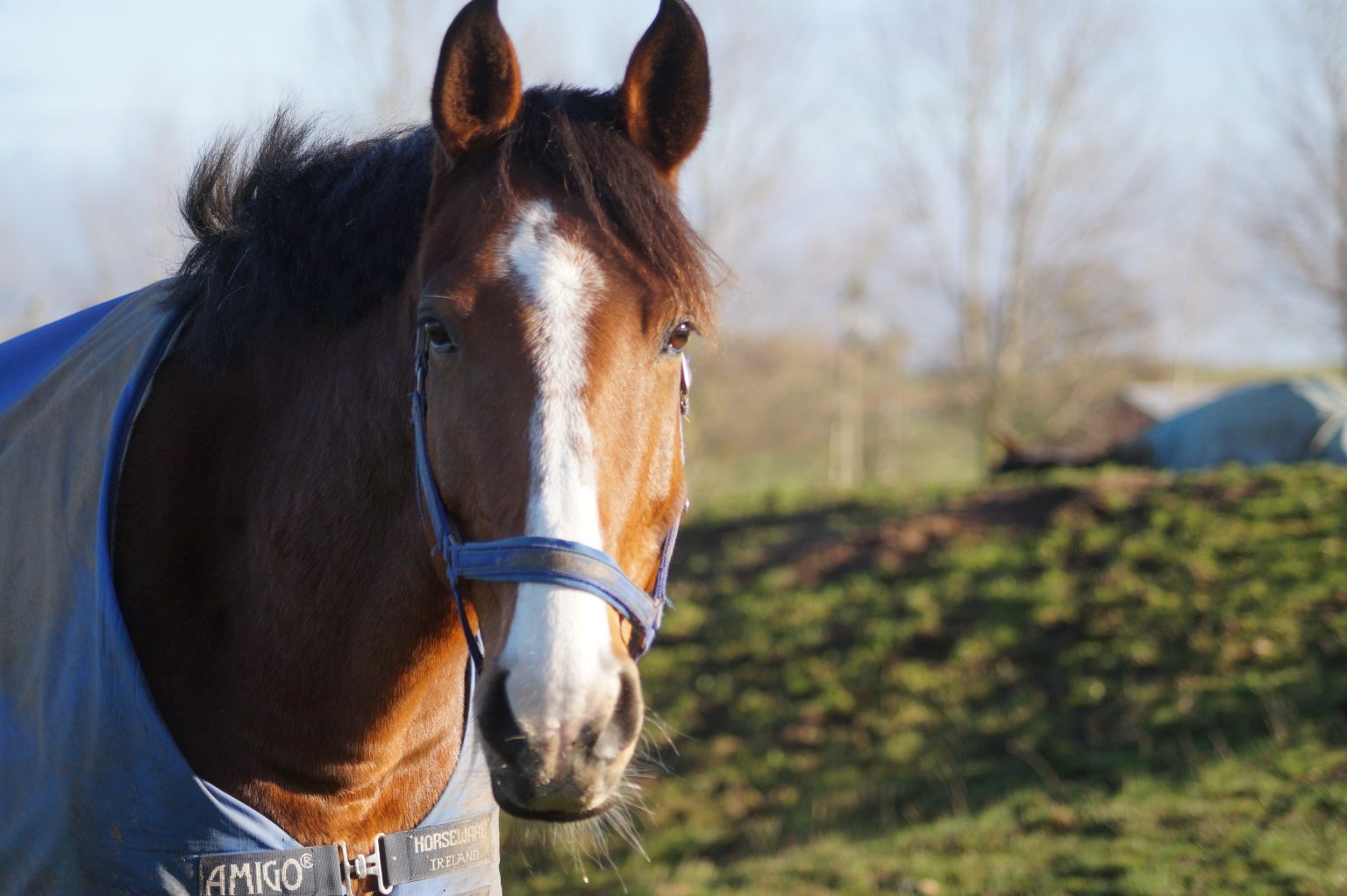 BEC Nashville ”Nashville”