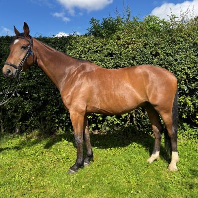 Harry Kane ”Harry”