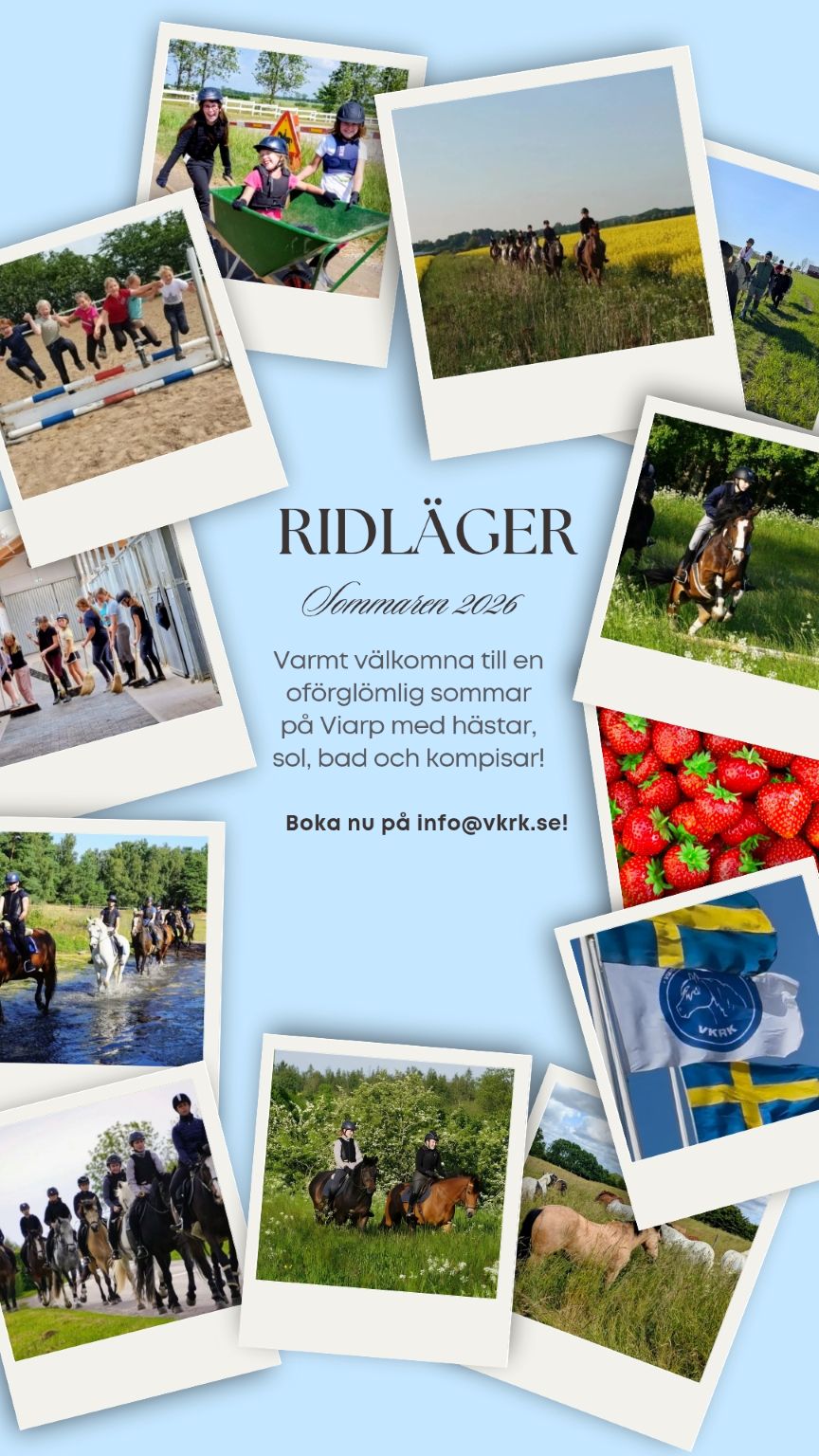 Sommarlov på Viarps Kör- och Ridklubb!