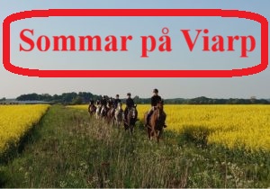 Sommarlov på Viarps Kör- och Ridklubb!
