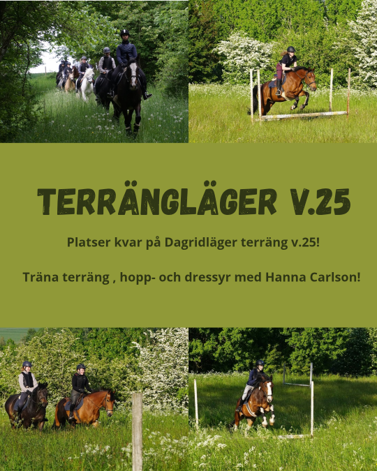 terrängläger på Viarp v.25