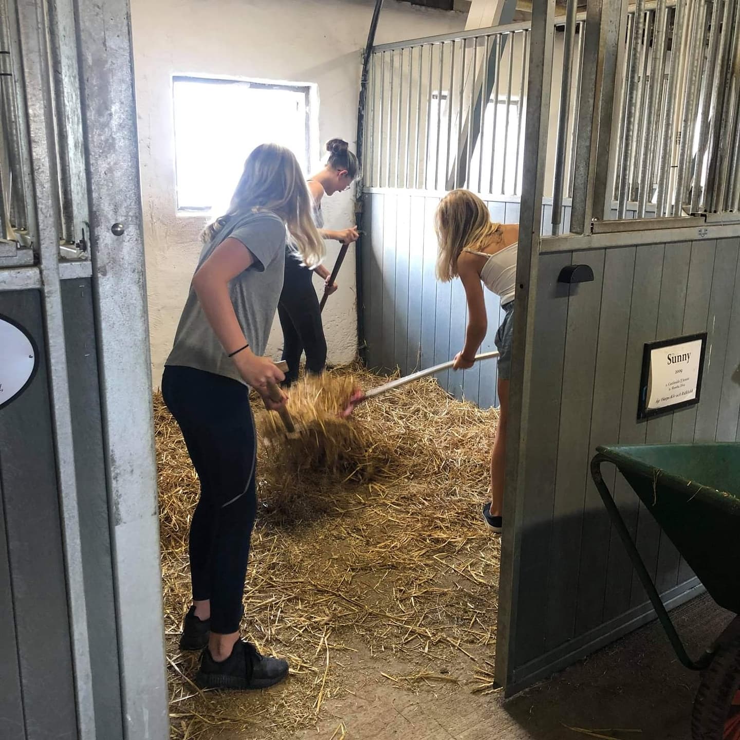 Vi söker fler Ungdomar till Helgjour!